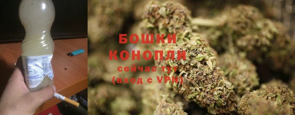 соль ск Гусь-Хрустальный