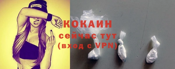 спиды Гусев