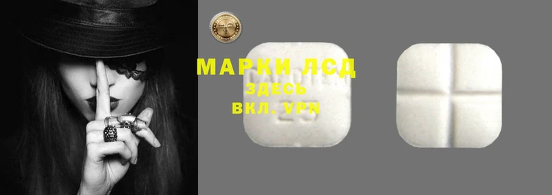 спиды Гусев