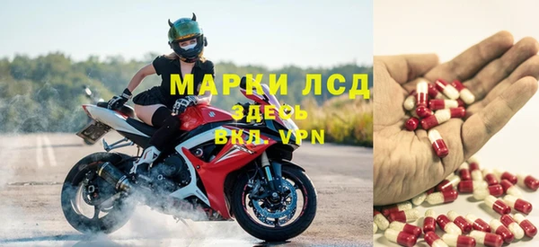 спиды Гусев