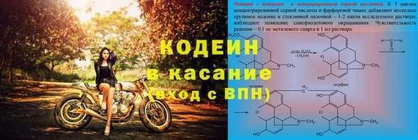 спиды Гусев