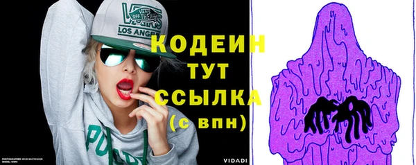 спиды Гусев