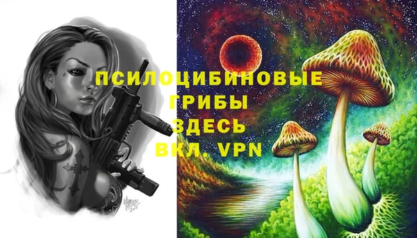 соль ск Гусь-Хрустальный
