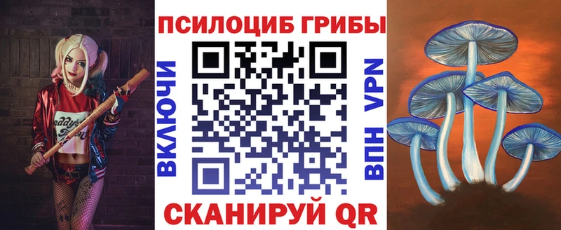 Псилоцибиновые грибы мицелий  Городище 